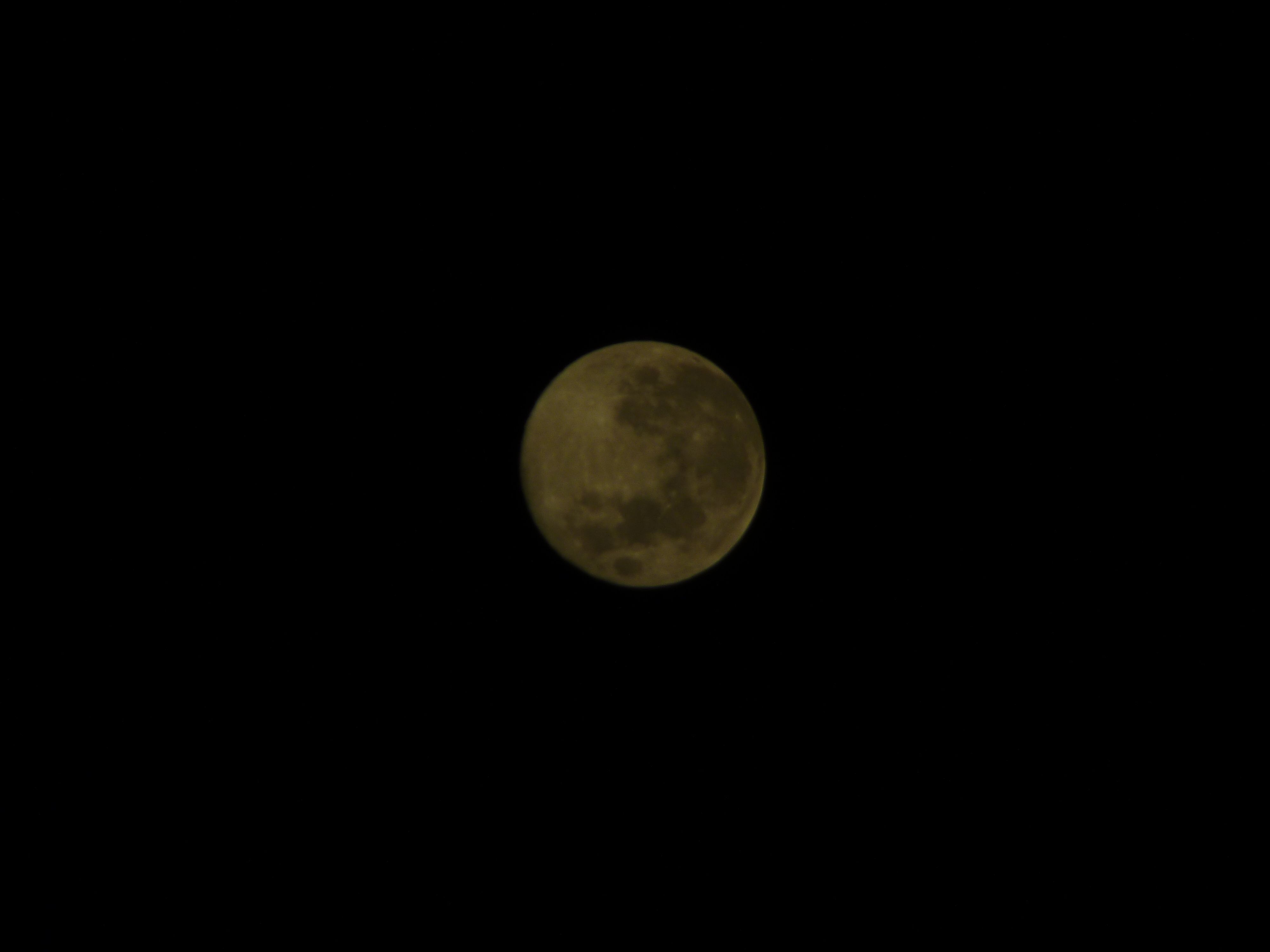 Blue Moon