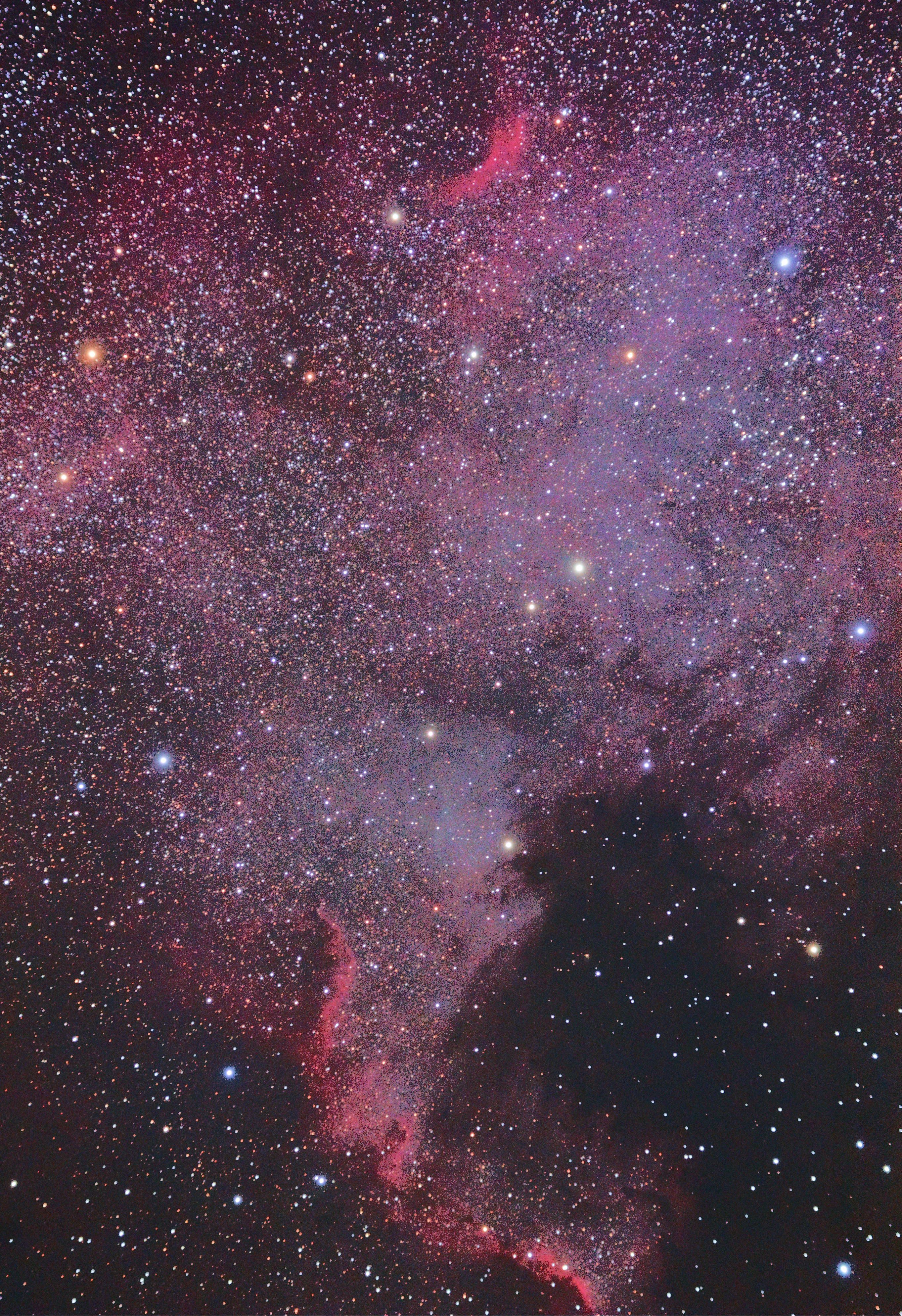 NGC 7000 - North American Nebula