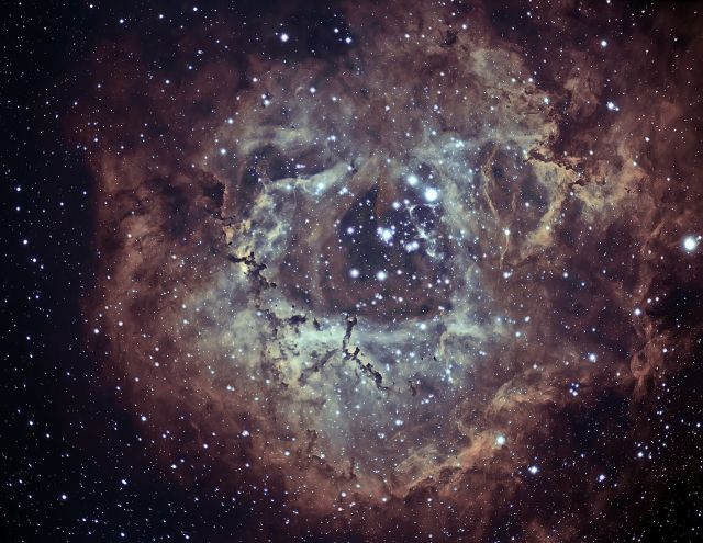 Rosette Nebula 02-10-2013 at Orion Store