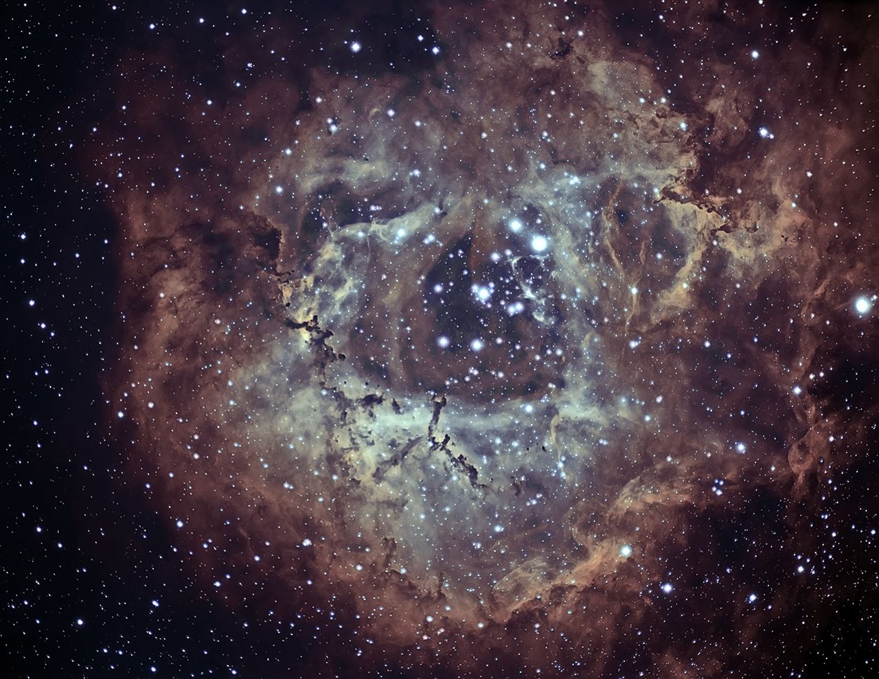 Rosette Nebula 02-10-2013 at Orion Store