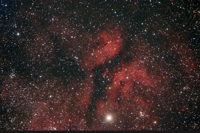 IC 1318 - Sadr Region