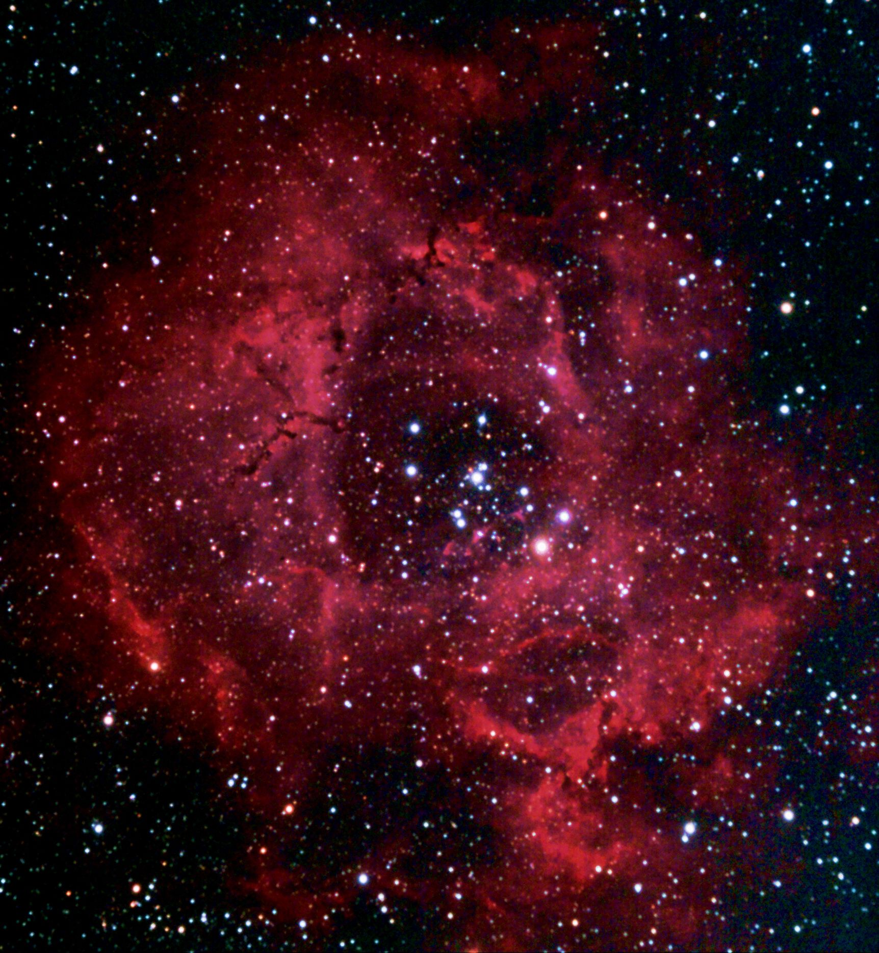 Rosette Nebula Ngc 2237 Astronomy Pictures At Orion Telescopes