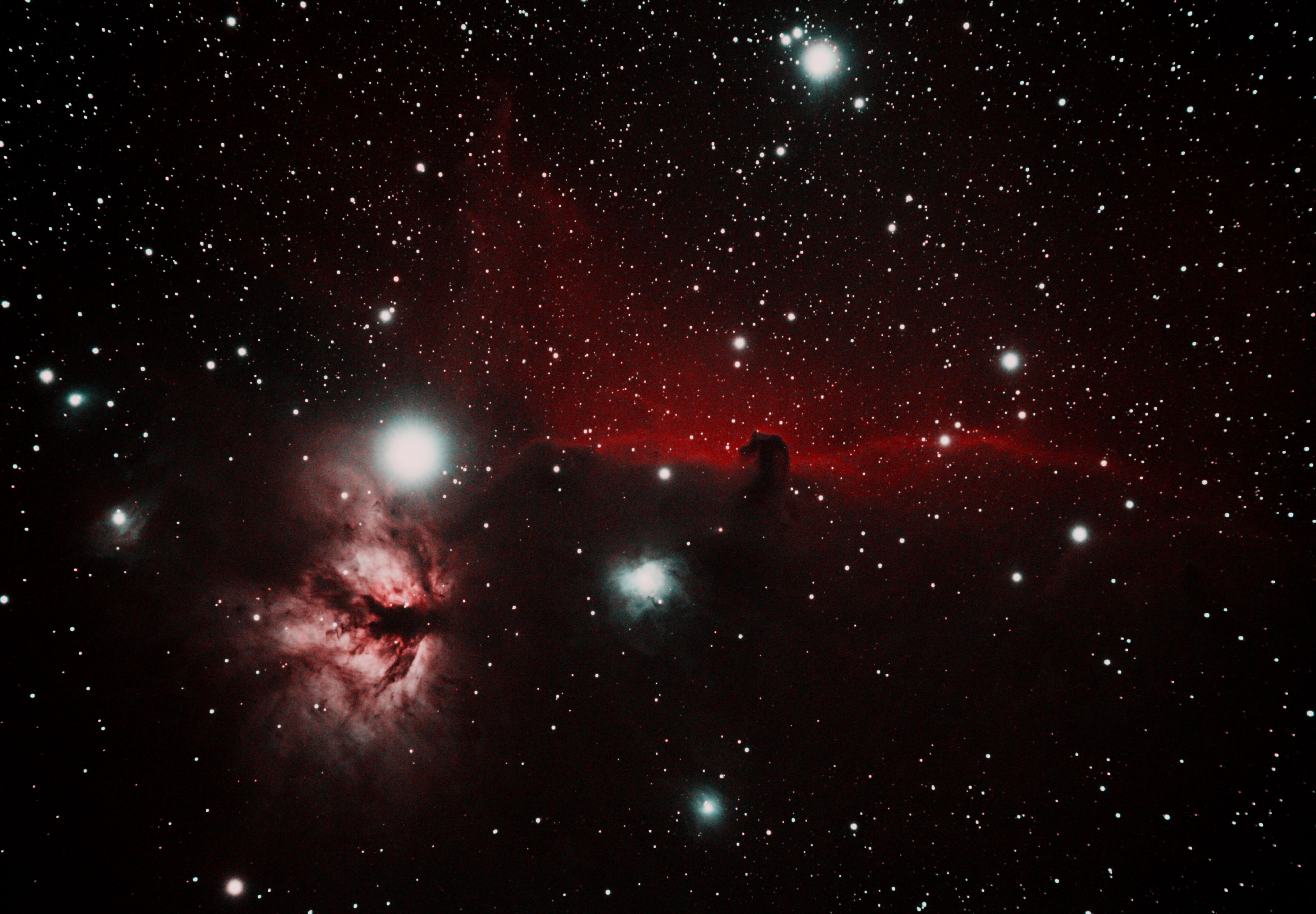 Horsehead Nebula 11213 Astronomy Pictures at Orion Telescopes