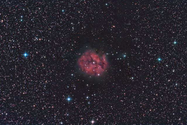 IC 5146 - The Cocoon Nebula