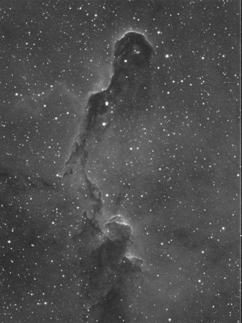 IC 1396 - Elephant's Trunk Nebula