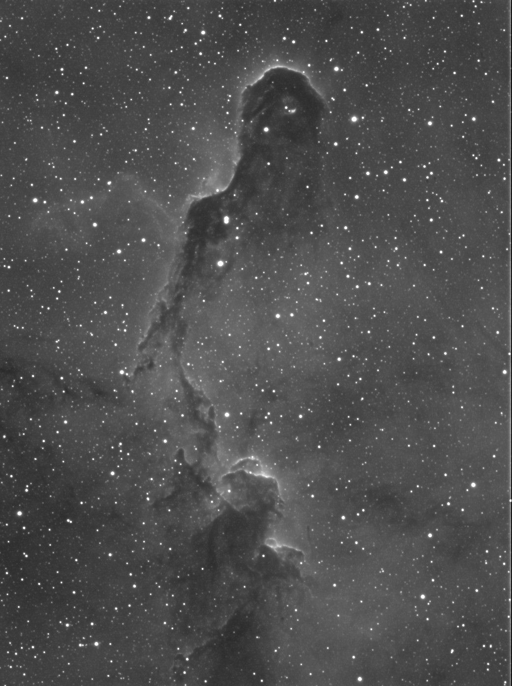 IC 1396 - Elephant's Trunk Nebula