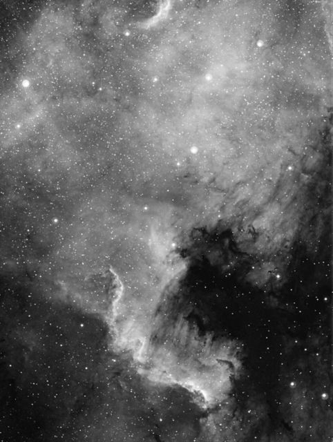 NGC 7000 - The North America Nebula