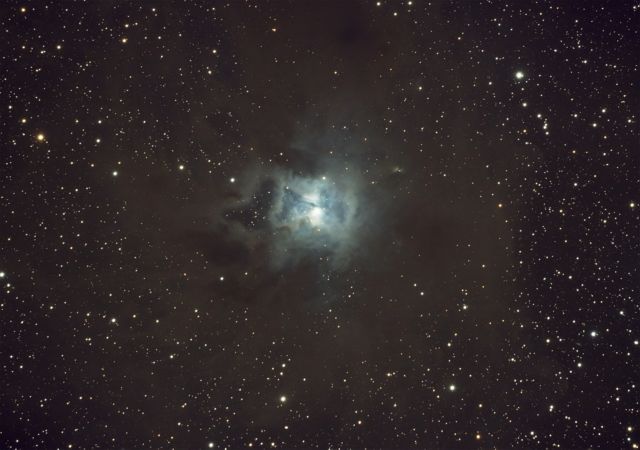 NGC 7023 - The Iris Nebula