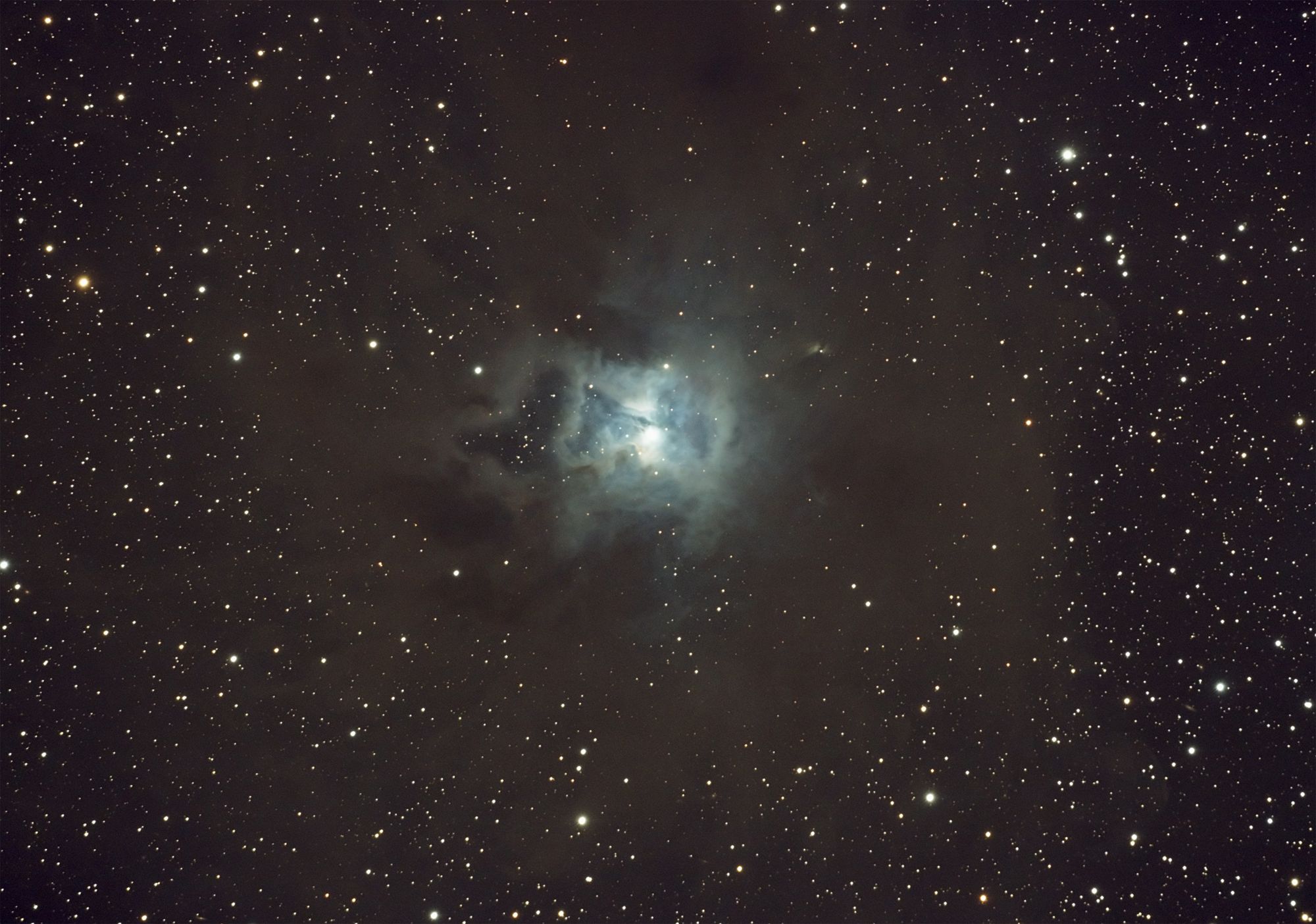 NGC 7023 - The Iris Nebula
