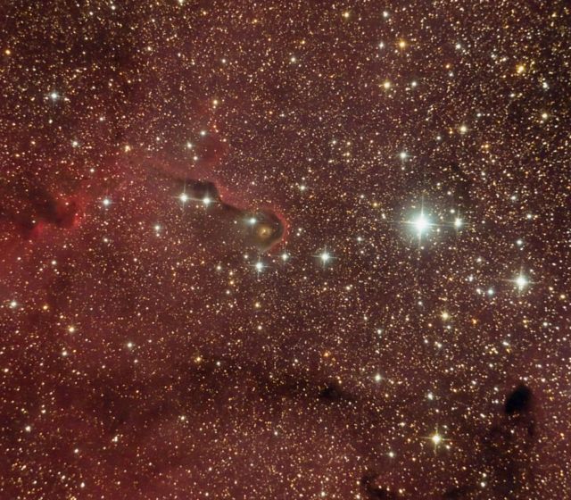 IC 1396 - Elephant's Trunk Nebula
