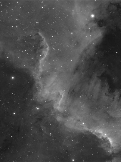NGC 7000 - Segment of the North America Nebula