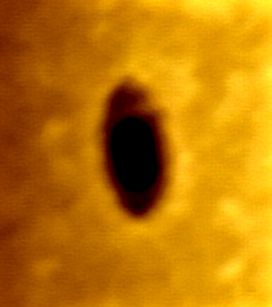SunSpot 1131