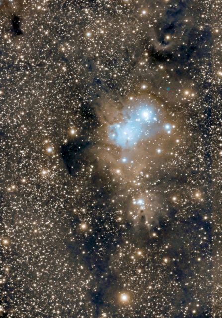 NGC 2264 - The Christmas Tree Cluster & Cone Nebula