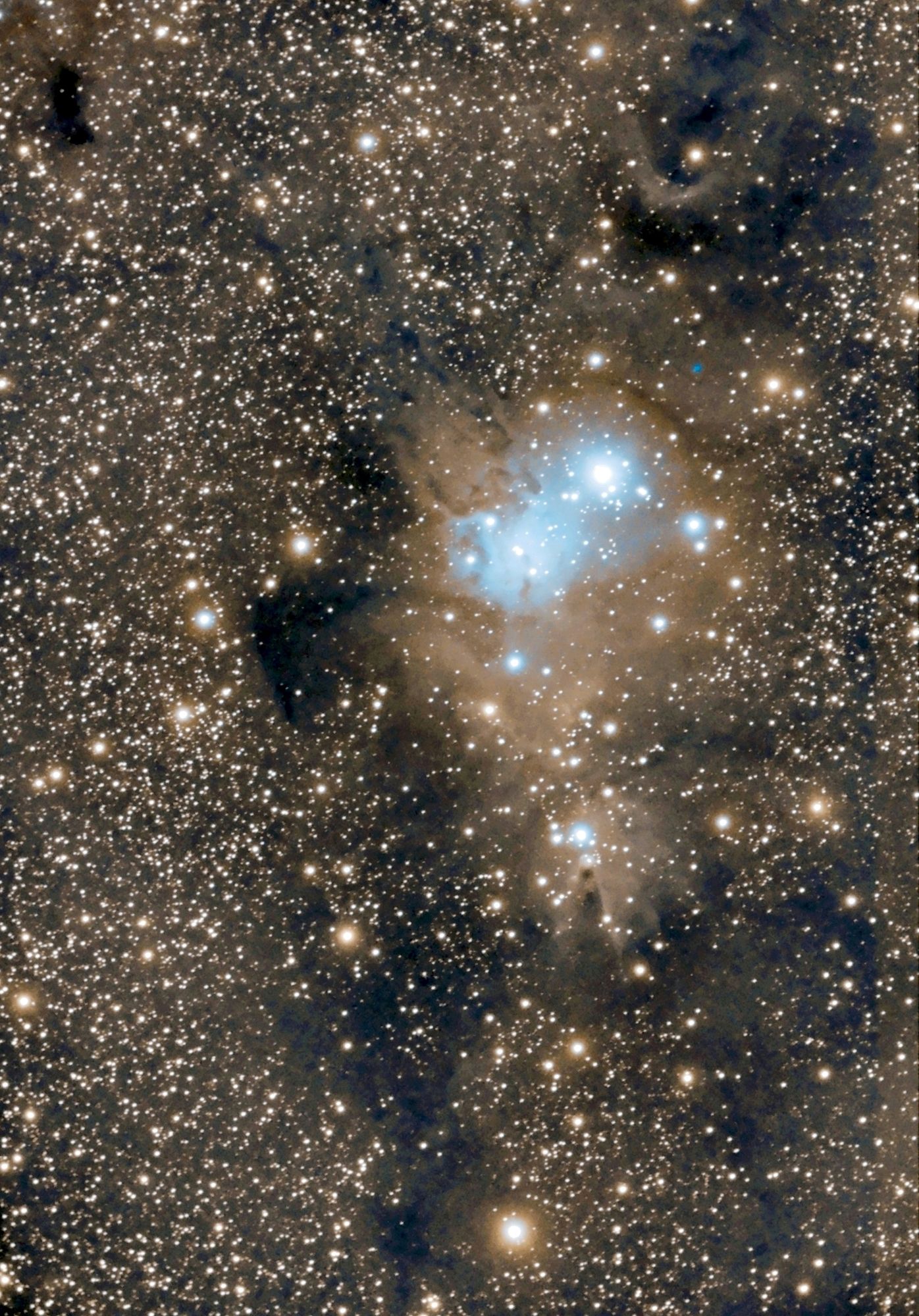 NGC 2264 The Christmas Tree Cluster & Cone Nebula Astronomy Orion