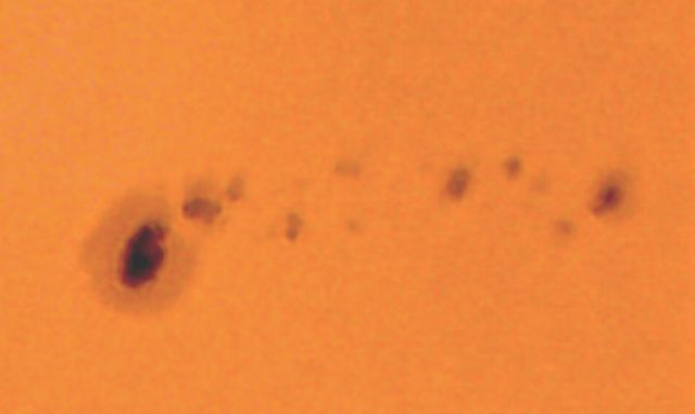Sun Spots