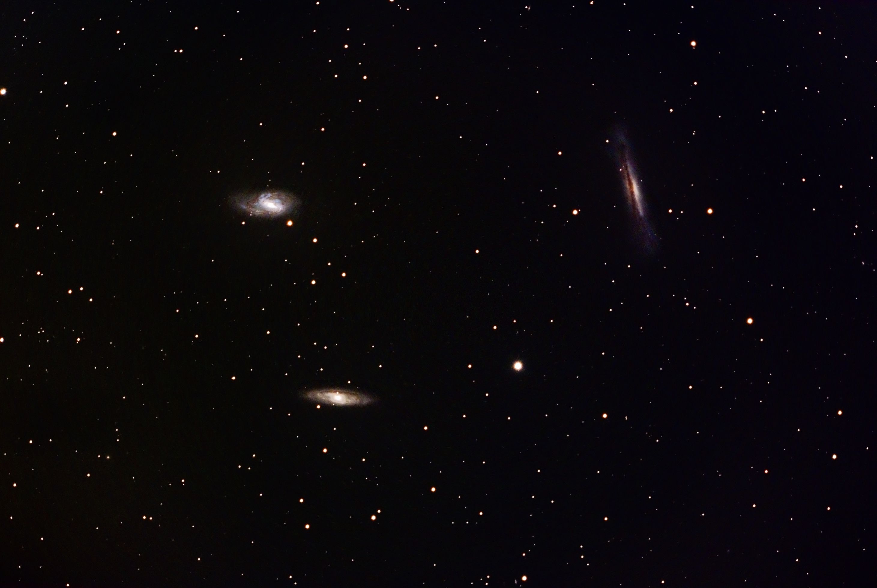 The Leo Triplet (M65, M66 and NGC 3628)