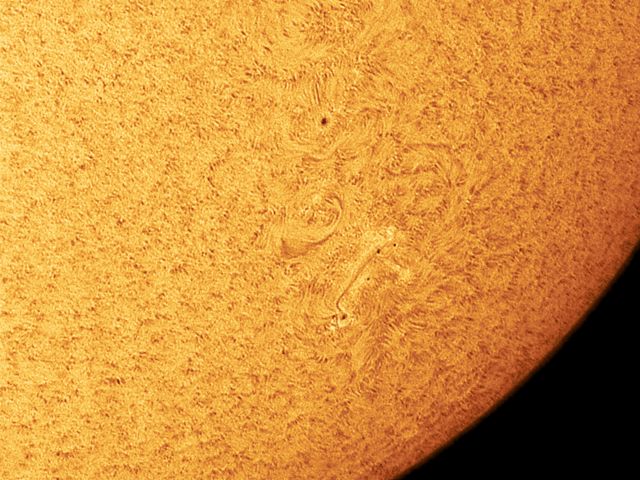 Sun Spots