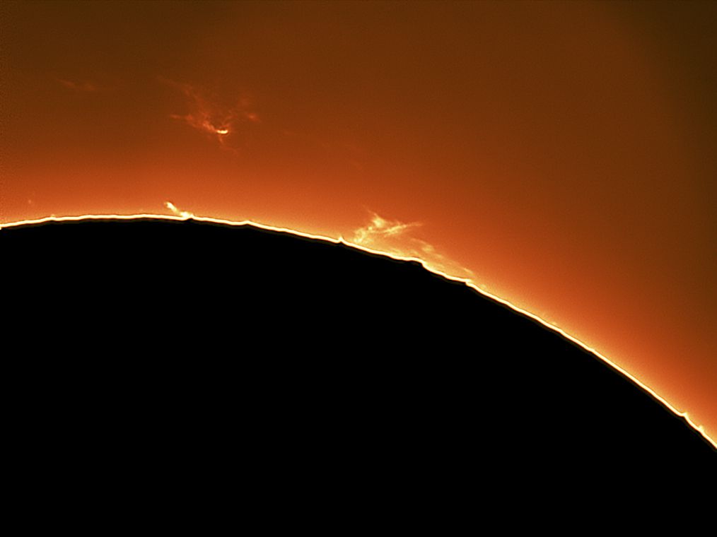 Solar Prominences