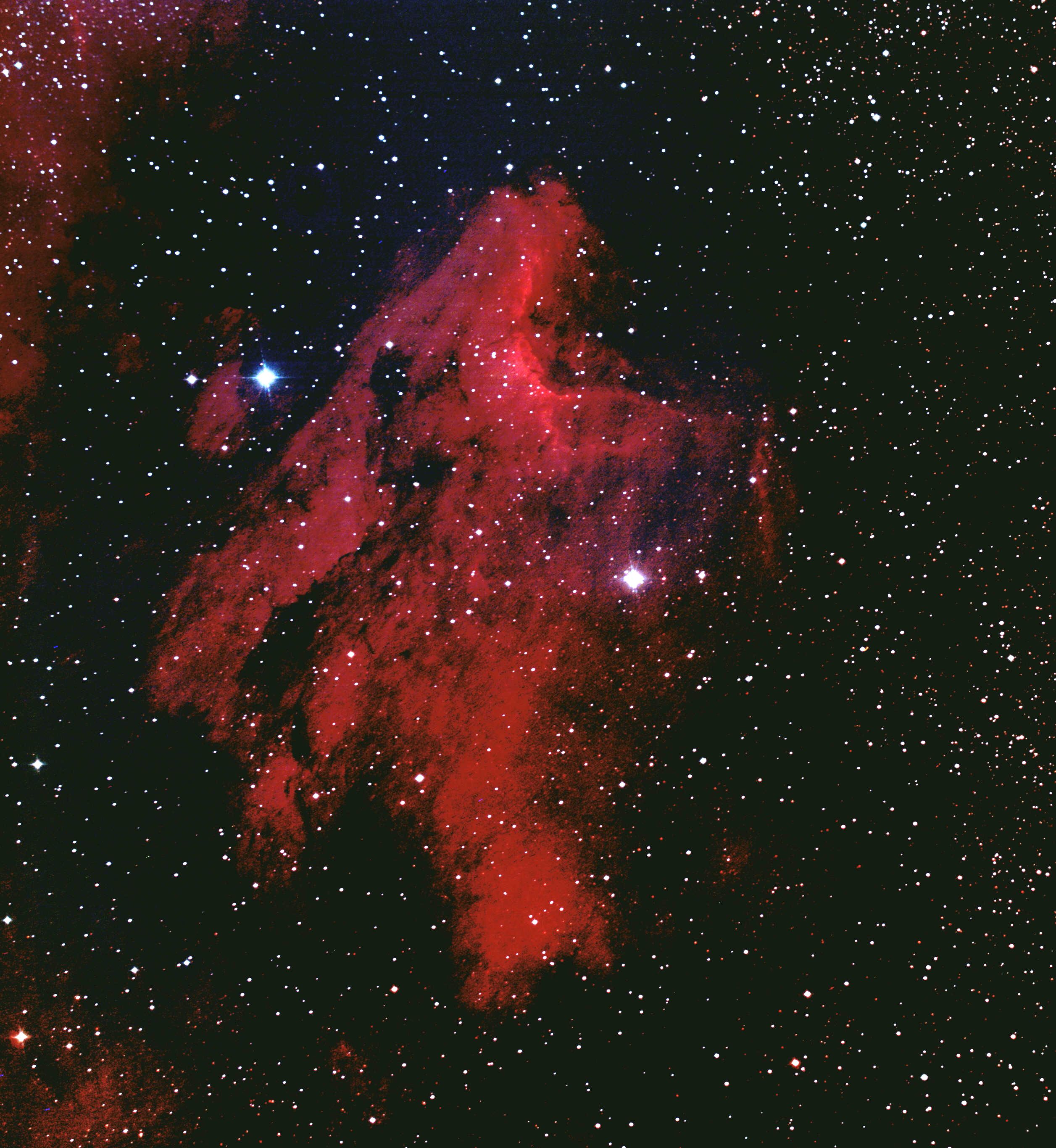 IC 5070 Pelican Nebula Astronomy Pictures at Orion Telescopes