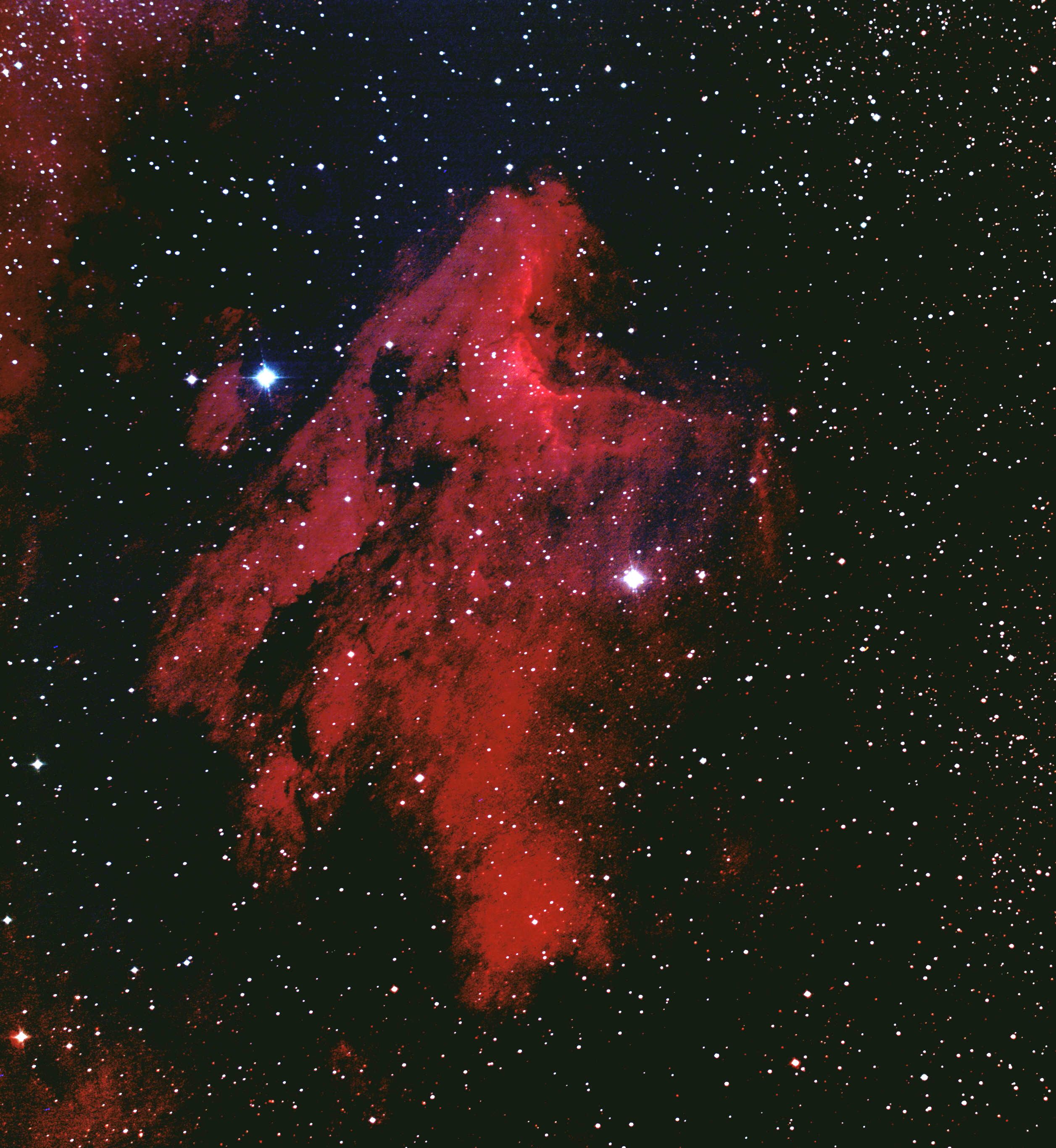 Ic 5070 Pelican Nebula Astronomy Pictures At Orion Telescopes 