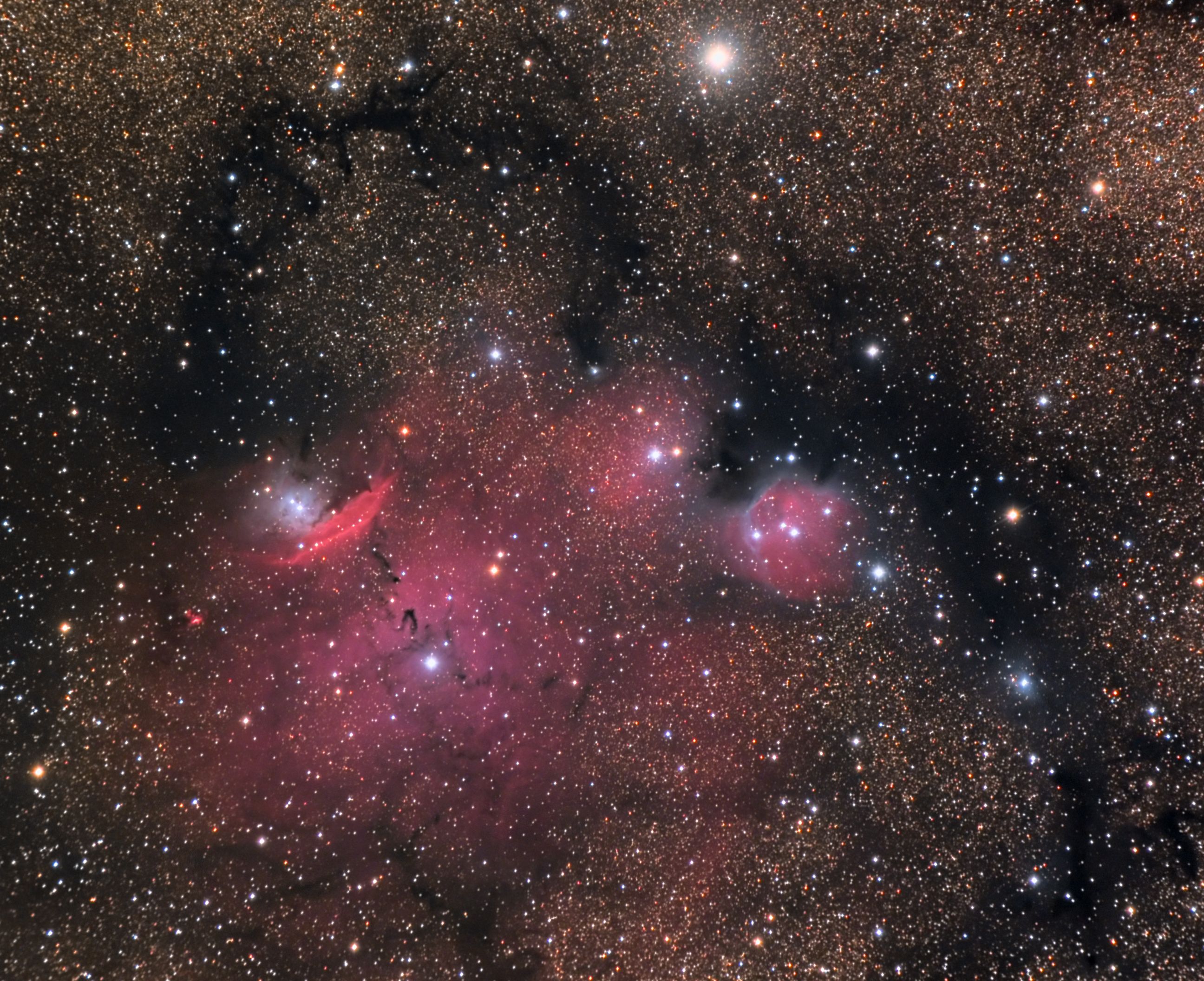 NGC 6559 and Surrounding Nebula in Sagittarius
