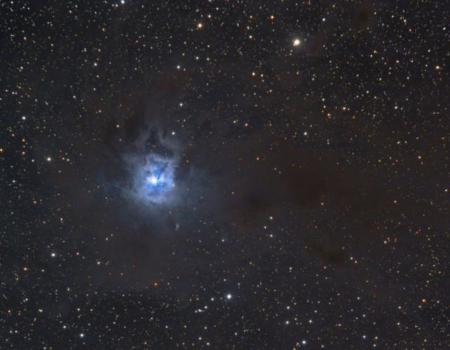 NGC 7023 - The Iris Nebula