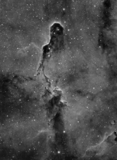 IC1396 - The Elephant Trunk Nebula