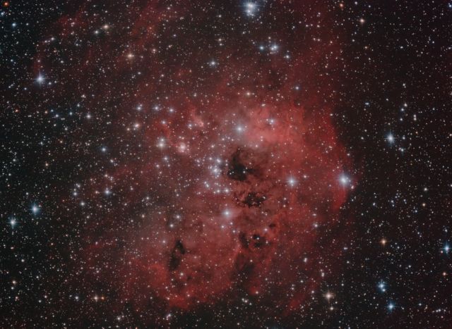 IC 410 - The Tadpoles