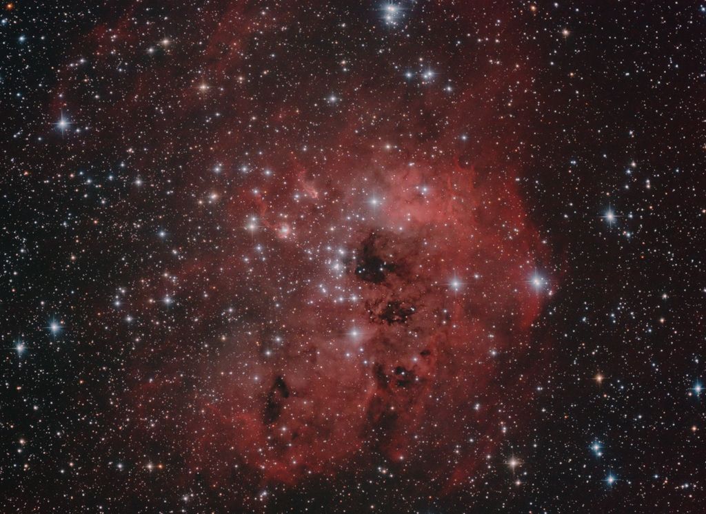 IC 410 - The Tadpoles