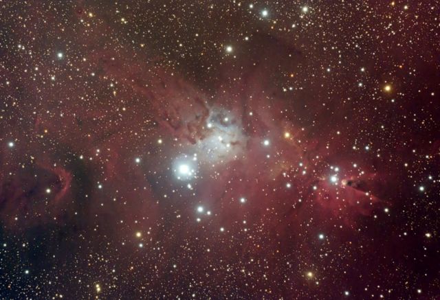 NGC 2264 - Nebula Complex in Monoceros