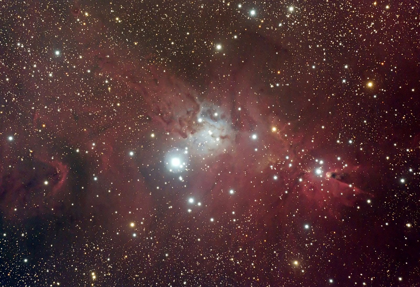 NGC 2264 - Nebula Complex in Monoceros