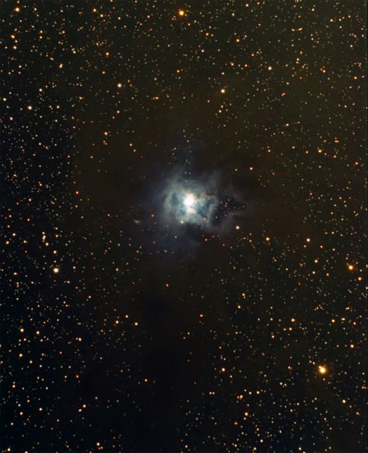 NGC 7023 - The Iris Nebula