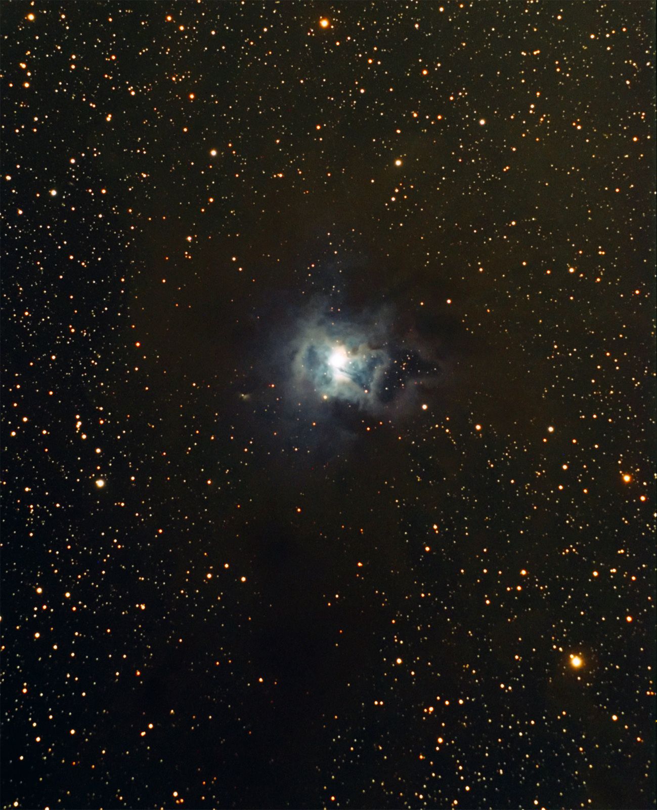 NGC 7023 - The Iris Nebula