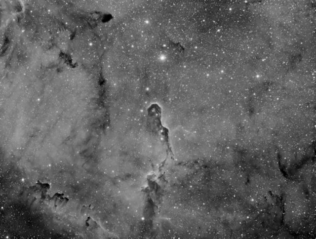 Elephant Trunk Nebula