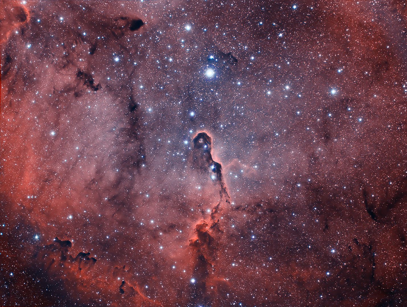 Elephant Trunk Nebula in IC1396 | Astronomy images at Orion Telescopes