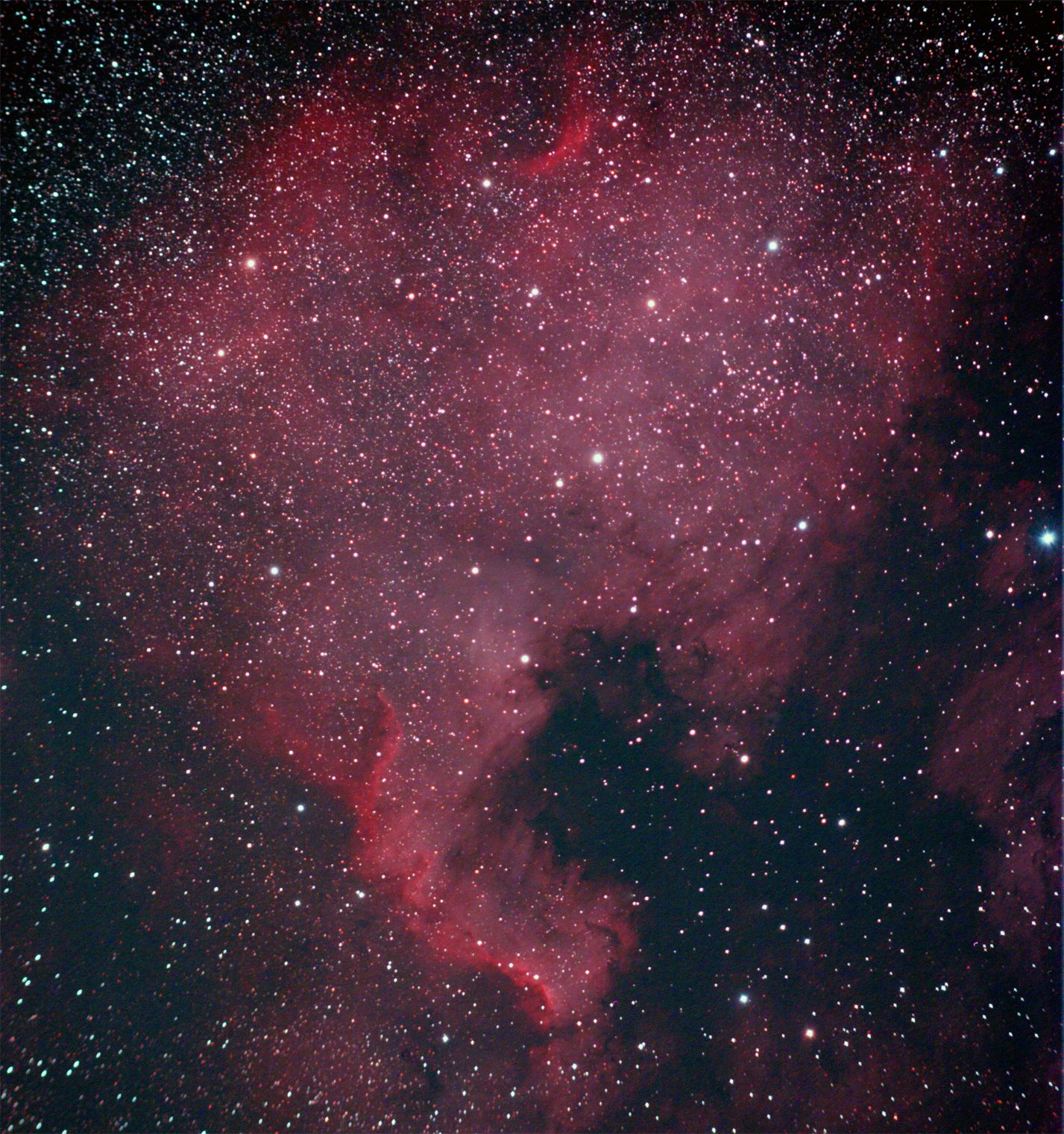 NGC 7000 - North American Nebula