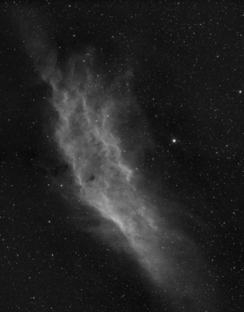 NGC 1499 Mosaic
