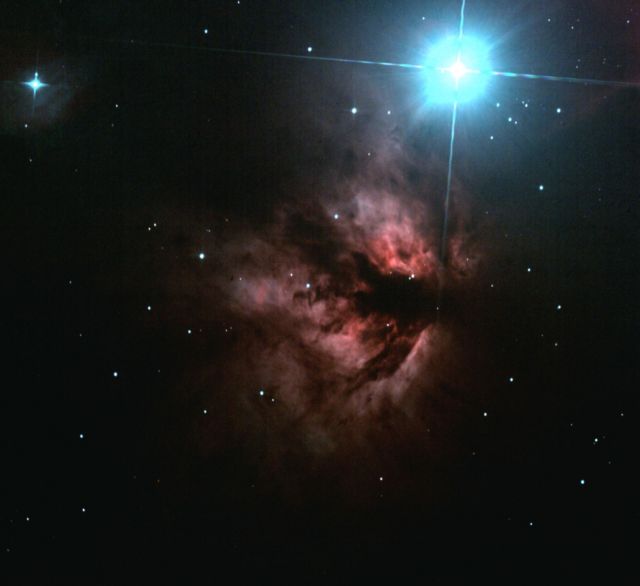 NGC 2024