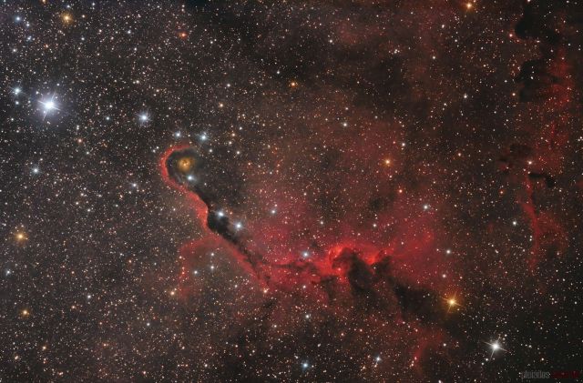 The Elephant's Trunk Nebula