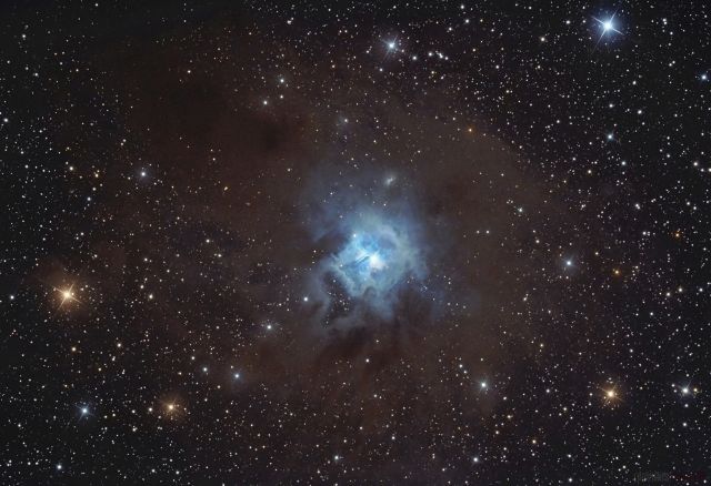 NGC 7023 - Iris Nebula
