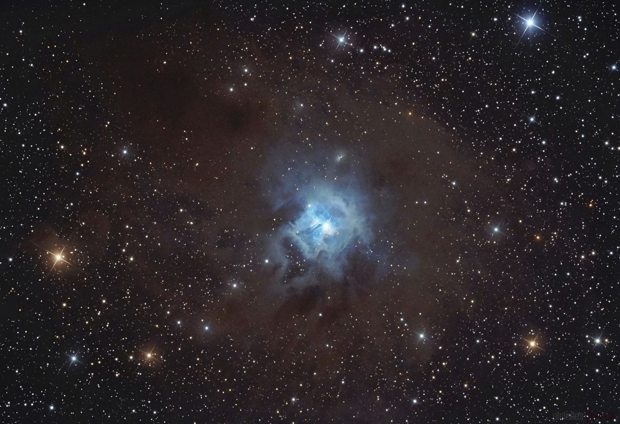 NGC 7023 - Iris Nebula