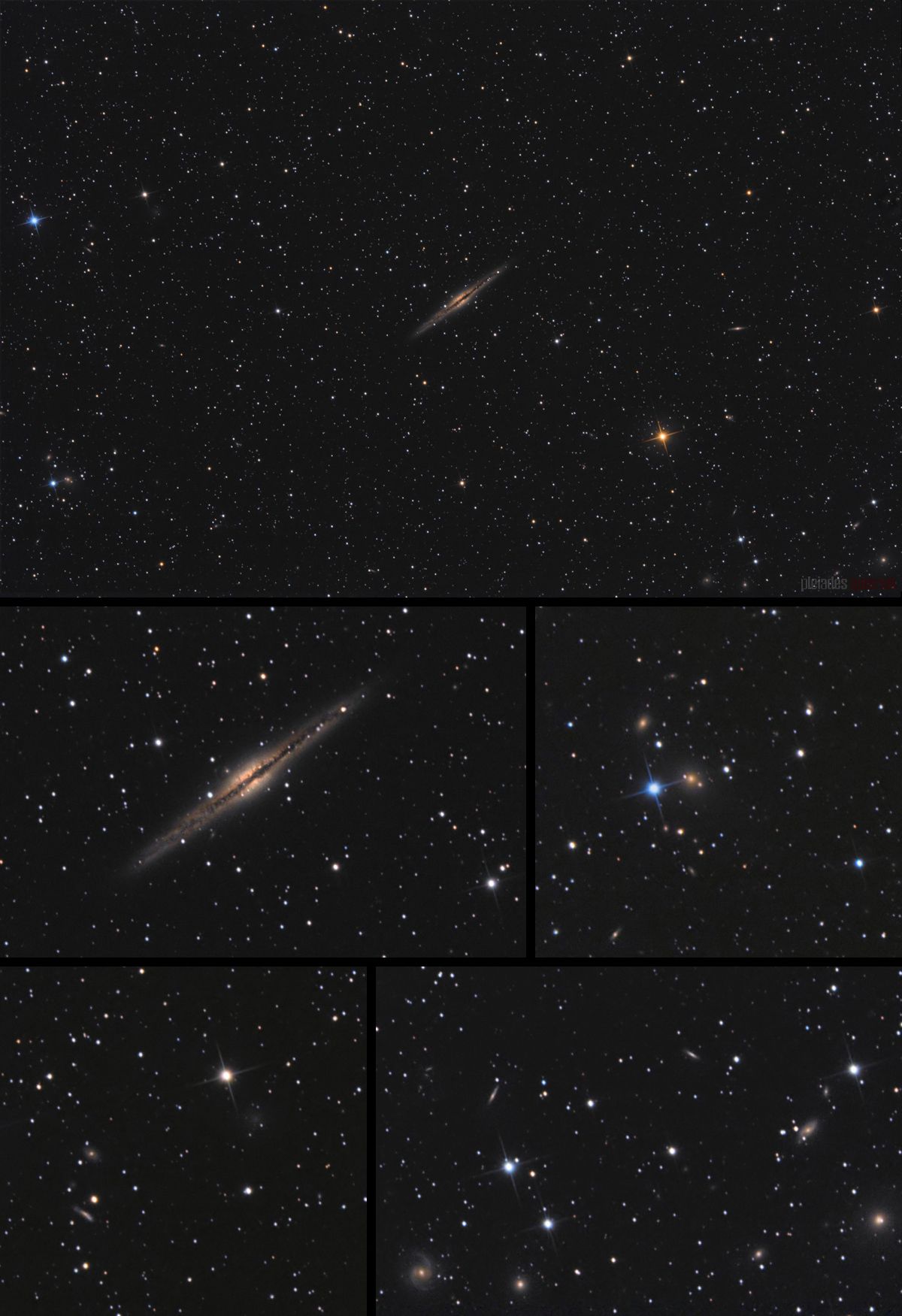 NGC 891 Widefield at Orion Store