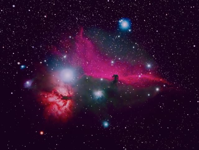 The Horsehead and Flame Nebulae at Orion Store