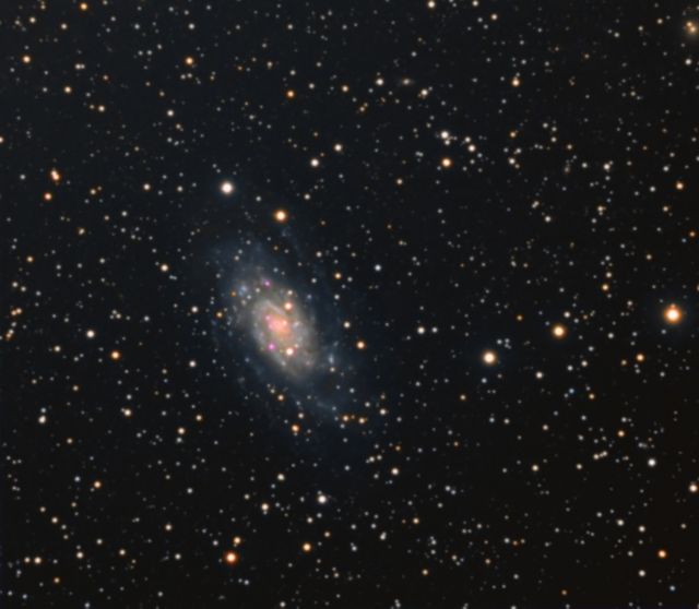 NGC2403