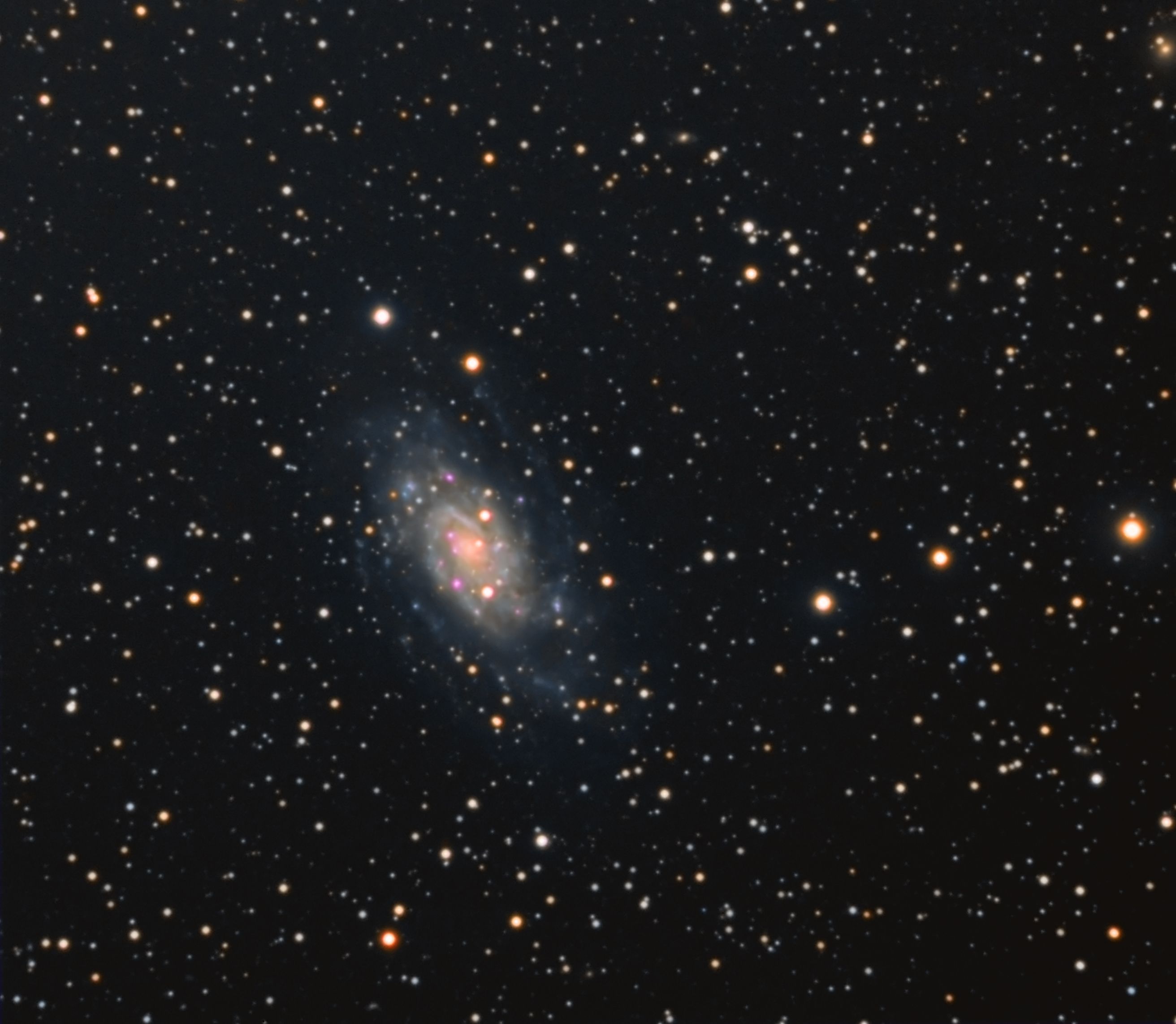 NGC2403