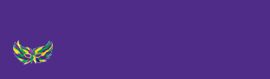 Mardi Gras Party Supplies