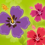 Luau Party Supplies
