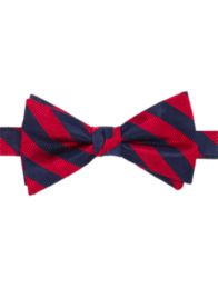 Striped Woven Silk Pre-Tied Bow Tie
