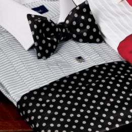 Dots Bow Tie & Cummerbund Set