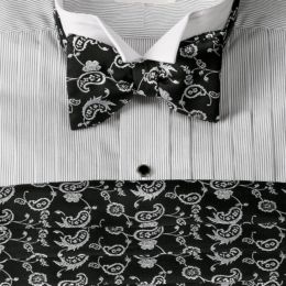 Mini Paisley Bow Tie & Cummerbund Set